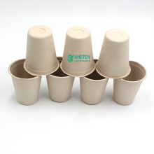 Copo de café descartável de bagaço de cana descartável 100% biodegradável Anhui EVEN Eco Friendly com tampa